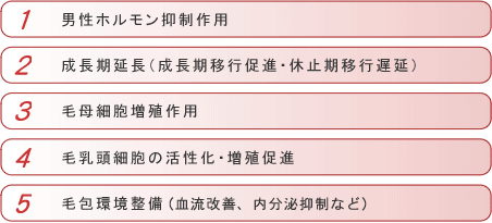 AGA治療に大切な５つの要素とは