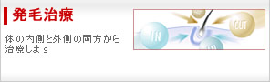 発毛治療 - 体の内側と外側の両方から治療します