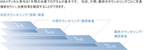 年間プログラム