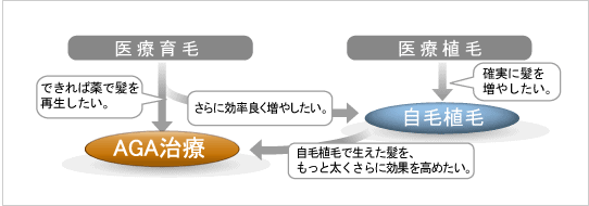 医療育毛と医療植毛